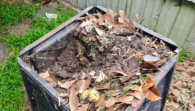A compost bin.