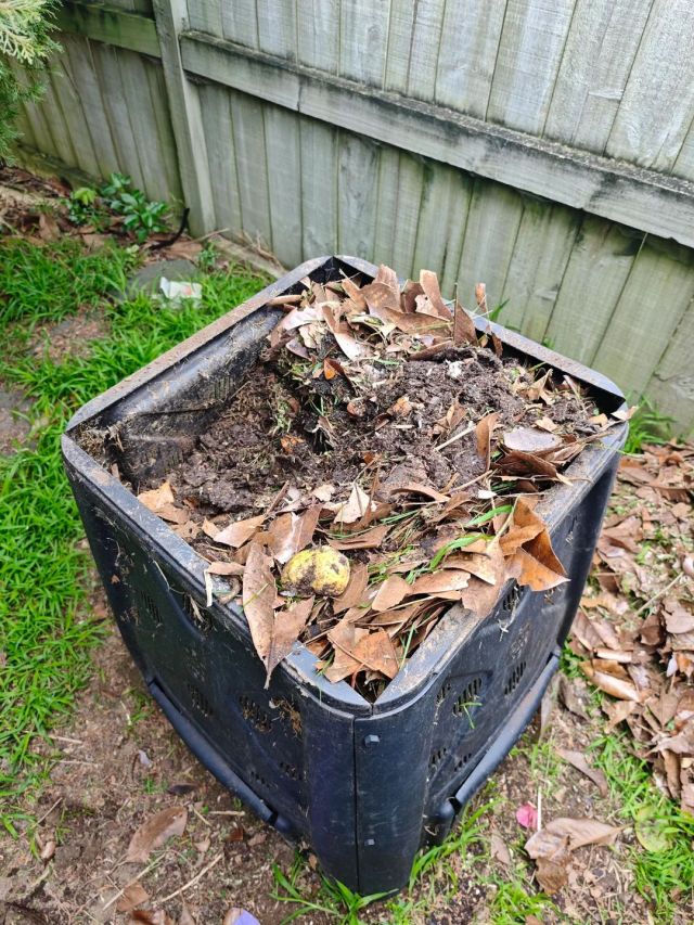 A compost bin.