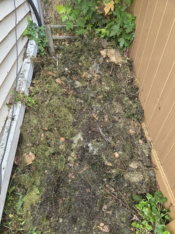 A patch of soil and vegetation covered with leaves and debris next to a wooden board.