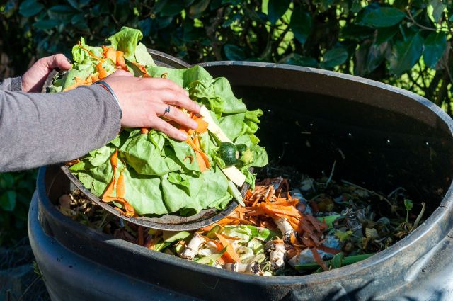 A person putting veggie scraps in a compost pile.