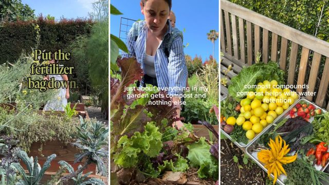 A garden with various plants, a woman tending to them, and a bench displaying harvested vegetables and fruits.