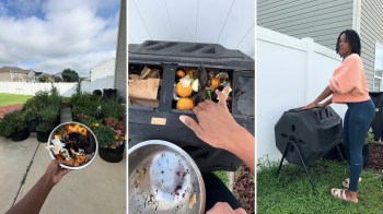 A person holds food scraps in a bowl and adds them to a compost bin in a garden setting.