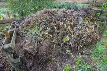 A compost pile made of various organic materials and surrounded by grass and wooden fencing.