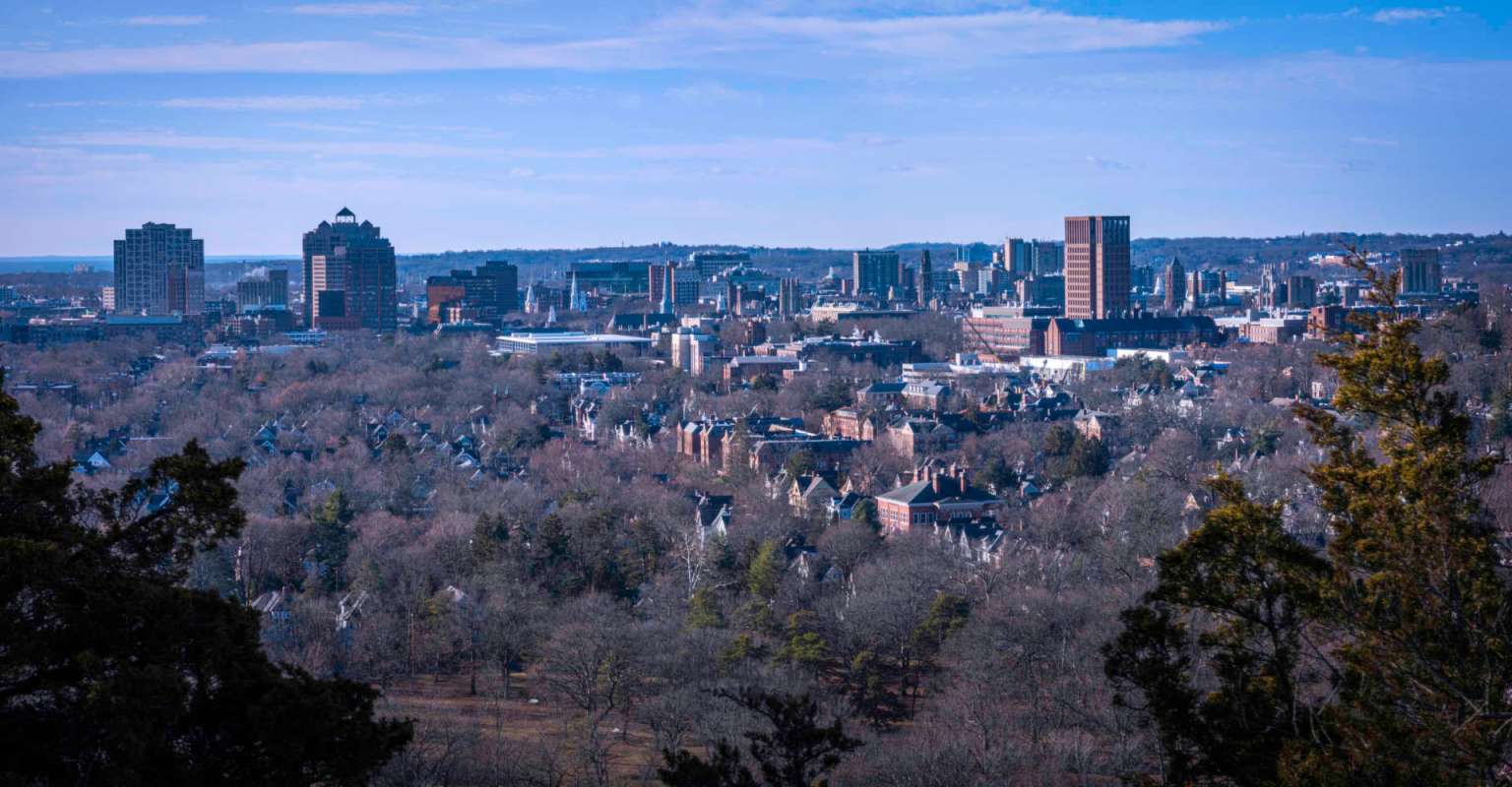 A view of a city skyline with buildings and trees in the foreground.