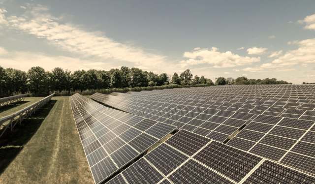 A solar farm.