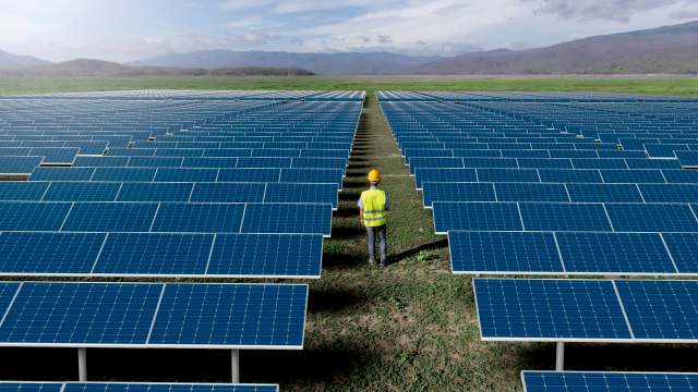 A worker inspects a solar panel field with numerous solar panels arranged in rows.