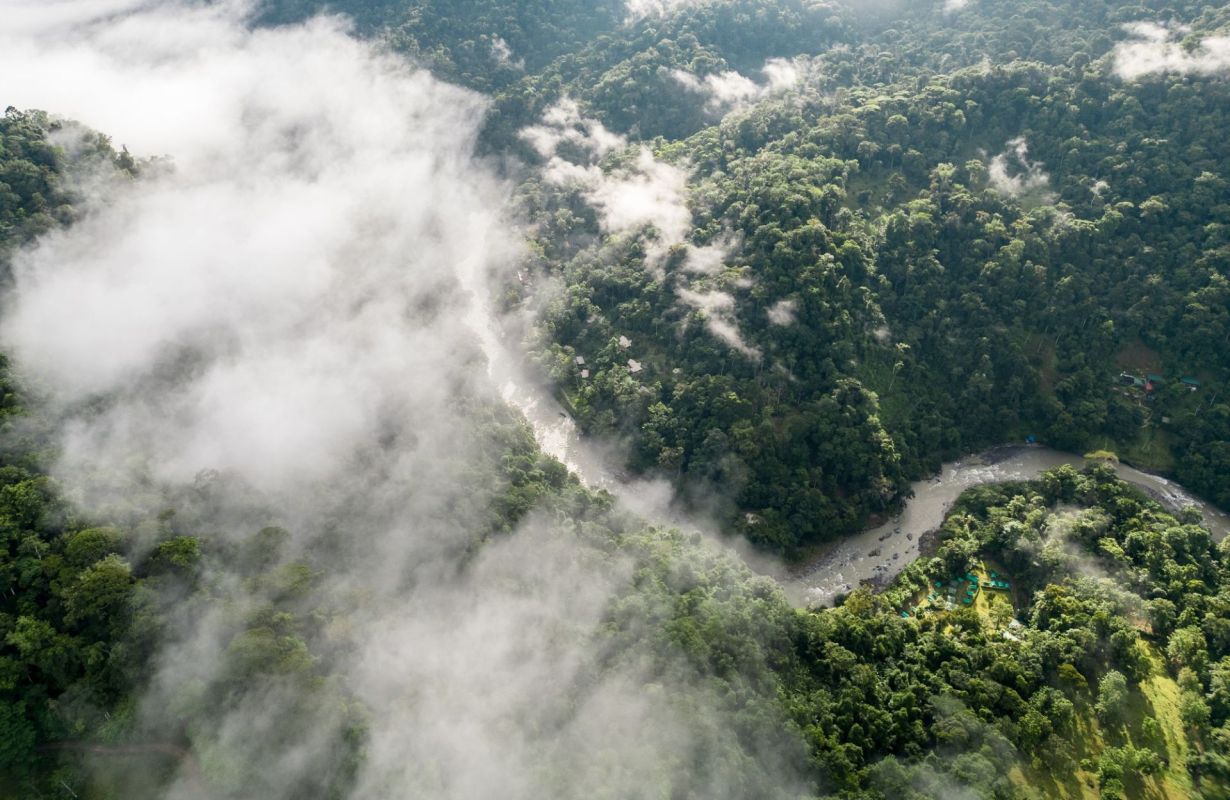 Costa Rica's cloud forest.