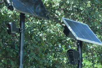 Two Flock surveillance cameras, each with a solar panels, mounted on poles, surrounded by green foliage.