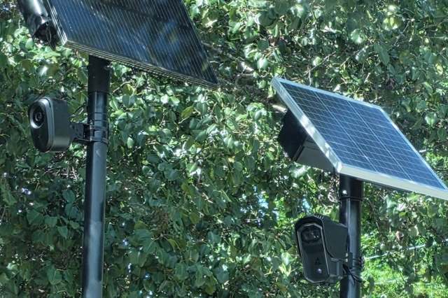 Two Flock surveillance cameras, each with a solar panels, mounted on poles, surrounded by green foliage.