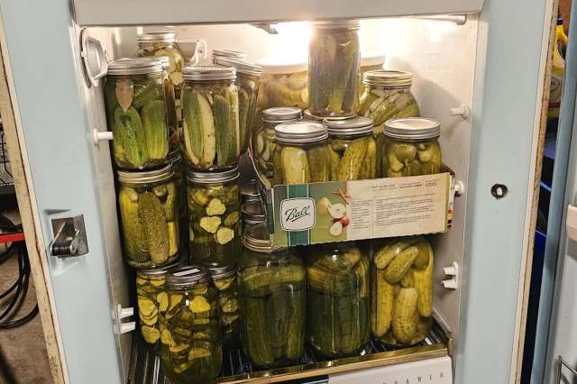 A refrigerator filled with jars of pickles.