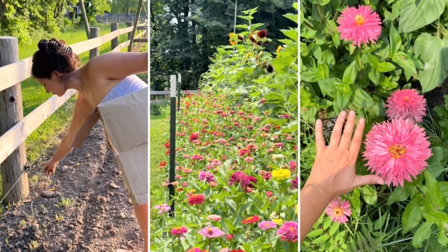 A person tends to a garden with colorful flowers and a wooden fence in the background.