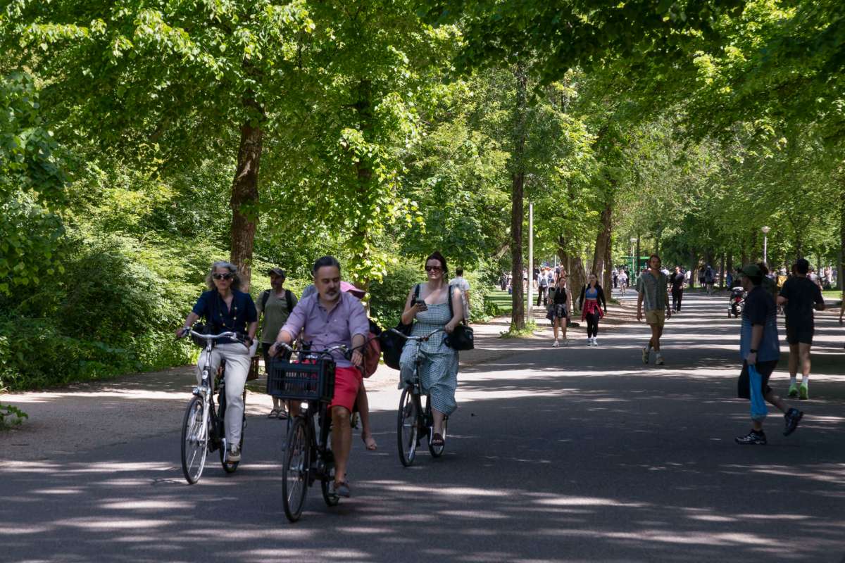 People riding bicycles and walking along a tree-lined path in a park.