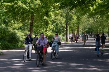 People riding bicycles and walking along a tree-lined path in a park.