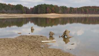 A calm lake reflects trees and a dry shoreline with exposed driftwood and a piece of pipe.