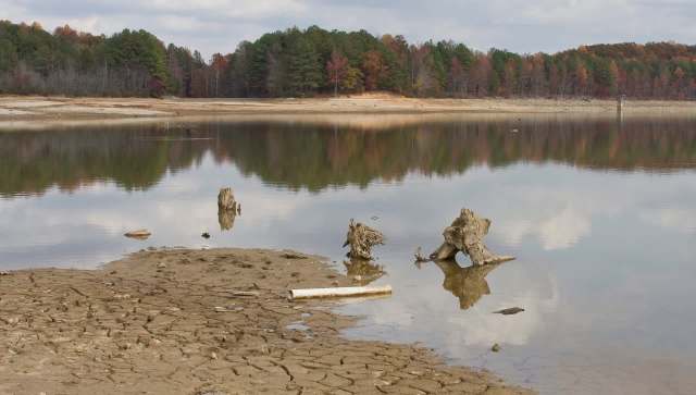 A calm lake reflects trees and a dry shoreline with exposed driftwood and a piece of pipe.