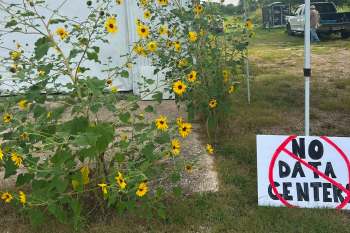 Sunflowers grow beside a sign reading "NO DATA CENTER" in a grassy area.