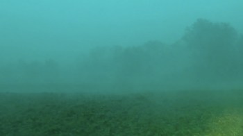 A field shrouded in dense fog with blurry outlines of trees in the background.