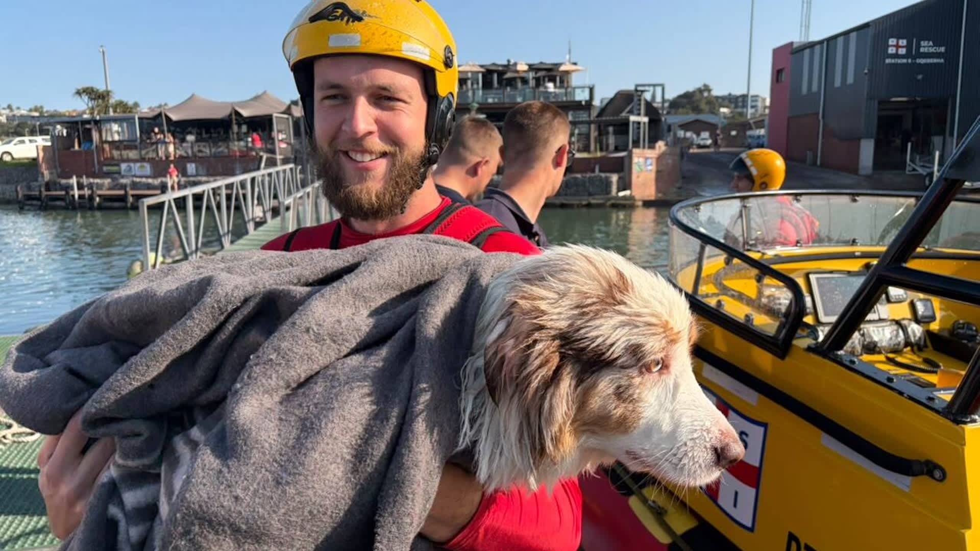 South Africa rescuers pull exhausted dog from rough surf after family walk turns dangerous