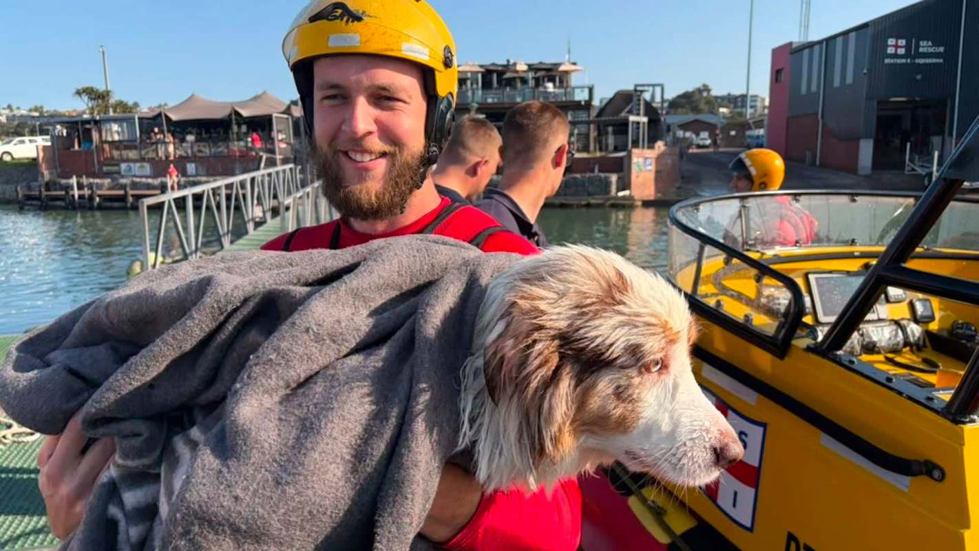 A person holding a dog wrapped in a blanket near a rescue boat by the water.