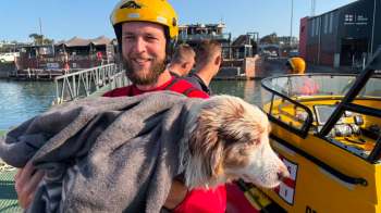 A person holding a dog wrapped in a blanket near a rescue boat by the water.