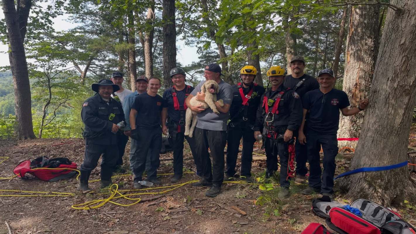 A group of rescue workers posing with a dog in a wooded area.