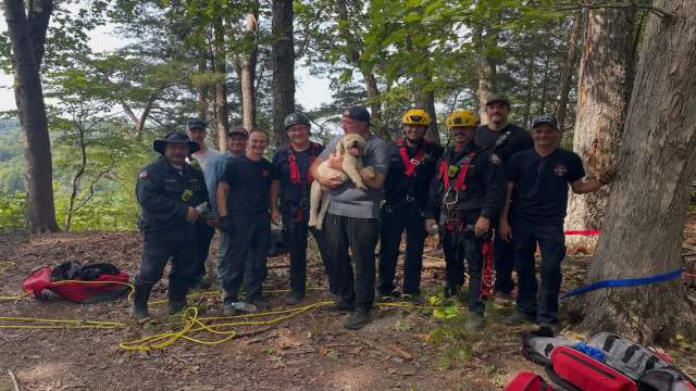 A group of rescue workers posing with a dog in a wooded area.