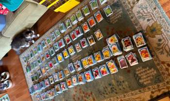 Several packets of seeds organized in rows on a patterned rug, with a cat lying nearby.