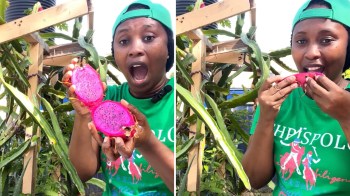 A woman holds a freshly cut dragon fruit and takes a bite while standing among cactus plants.
