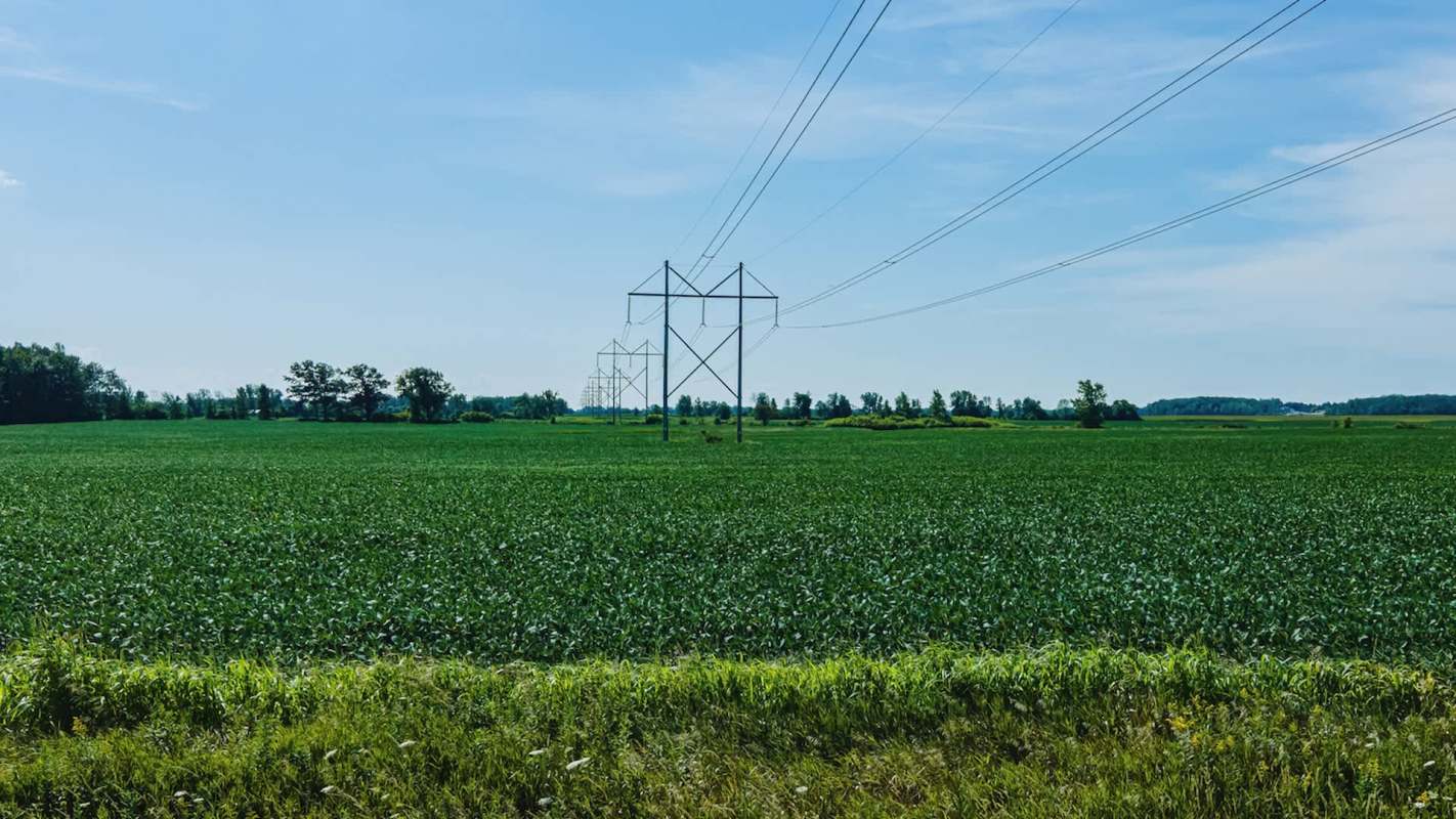 A green field with power lines and trees under a blue sky.