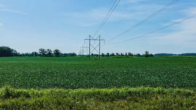 A green field with power lines and trees under a blue sky.