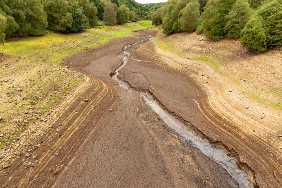 Drought conditions at a river.