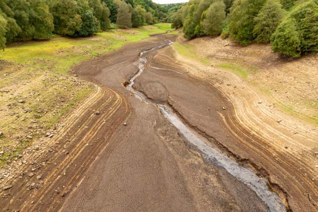 Drought conditions at a river.