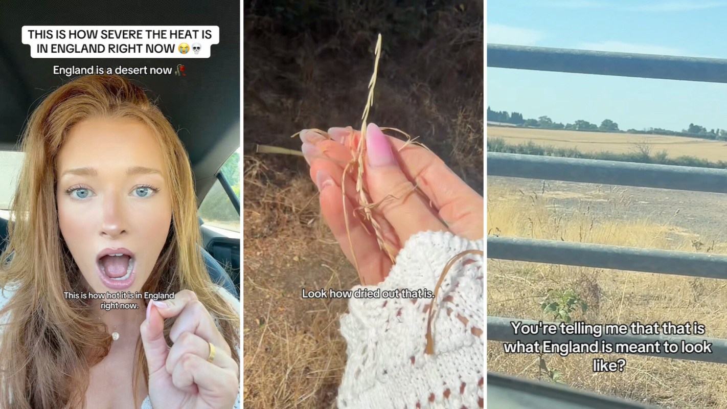A woman shows dried grass while discussing the heat in England, with a rural background visible.