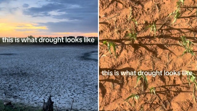 A split image showing a cracked dry landscape on one side and struggling green shoots in soil on the other.