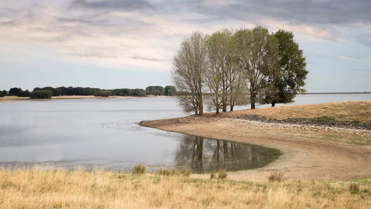 A low reservoir with trees along the shore and grassy areas surrounding the water.
