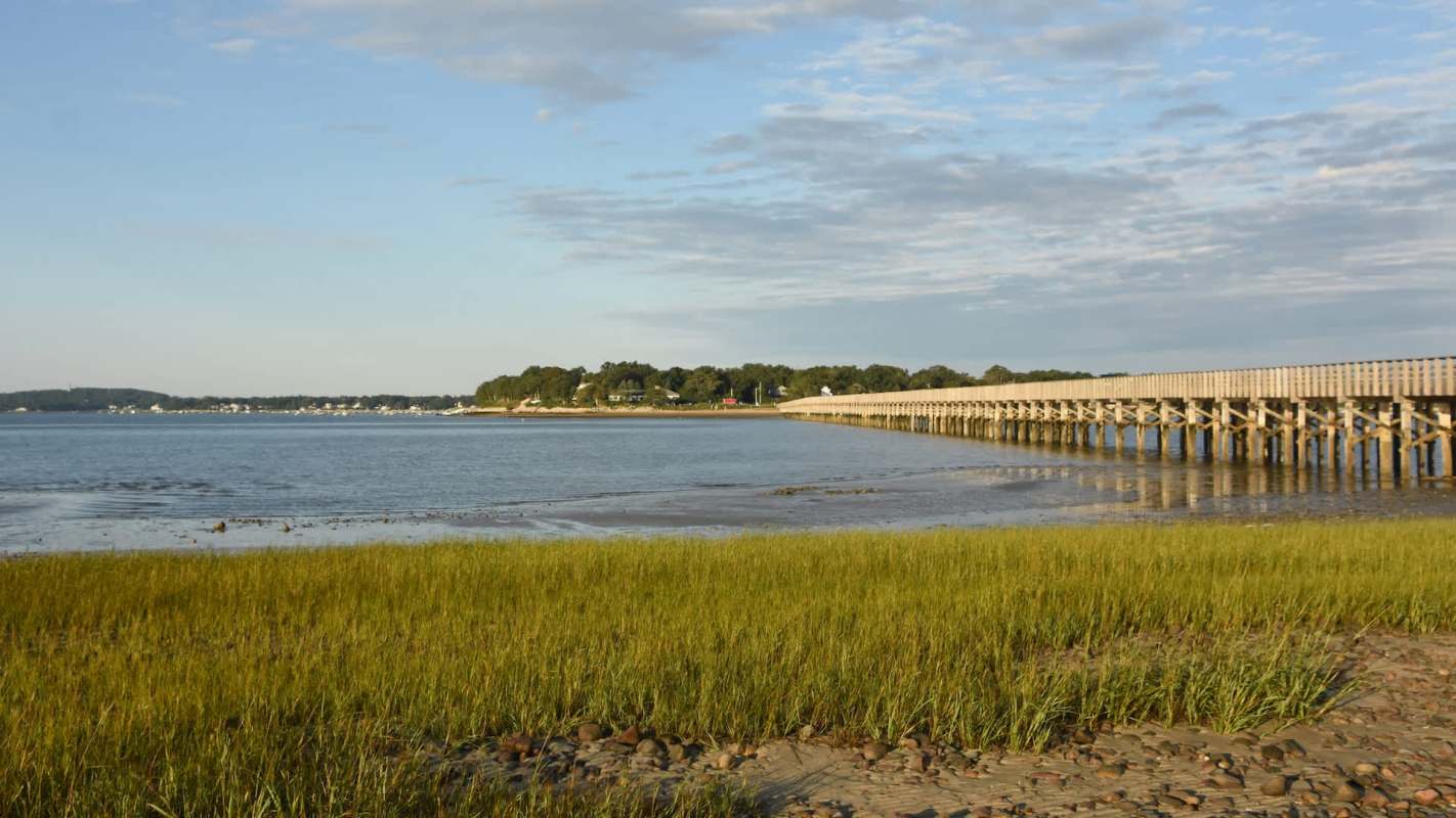 A wooden pier extends into a calm body of water with grassy shoreline and distant trees.
