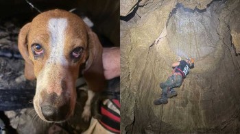 A person rappelling into a cave to rescue Remi.