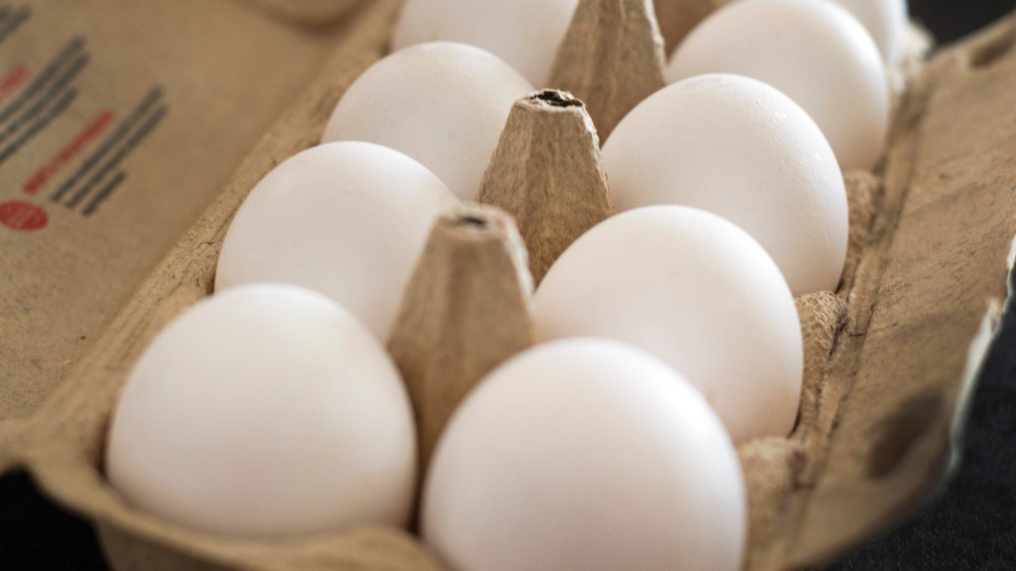 A carton of eggs.