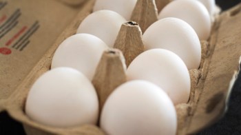 A carton of eggs.