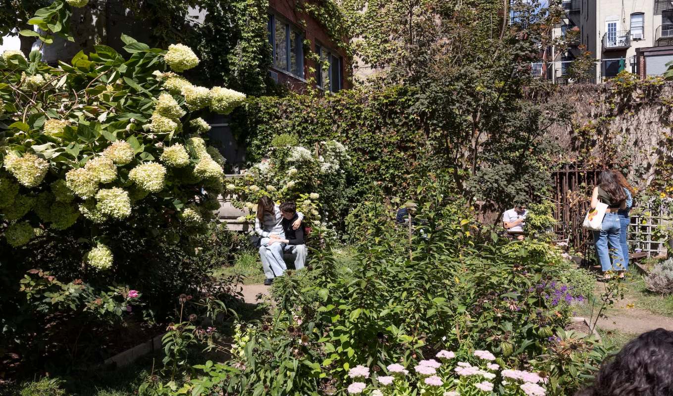 Elizabeth Street Garden with various plants and flowers, featuring people sitting and exploring the space.