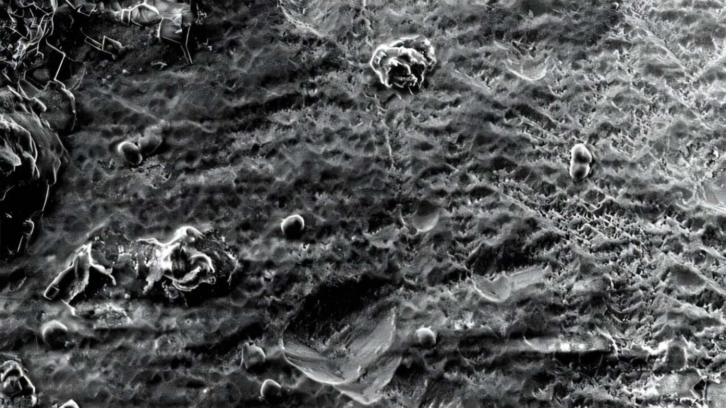 A black and white close-up image of textured surfaces with various shapes and patterns.