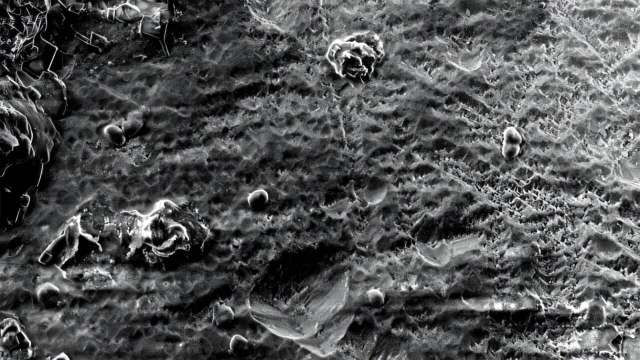 A black and white close-up image of textured surfaces with various shapes and patterns.