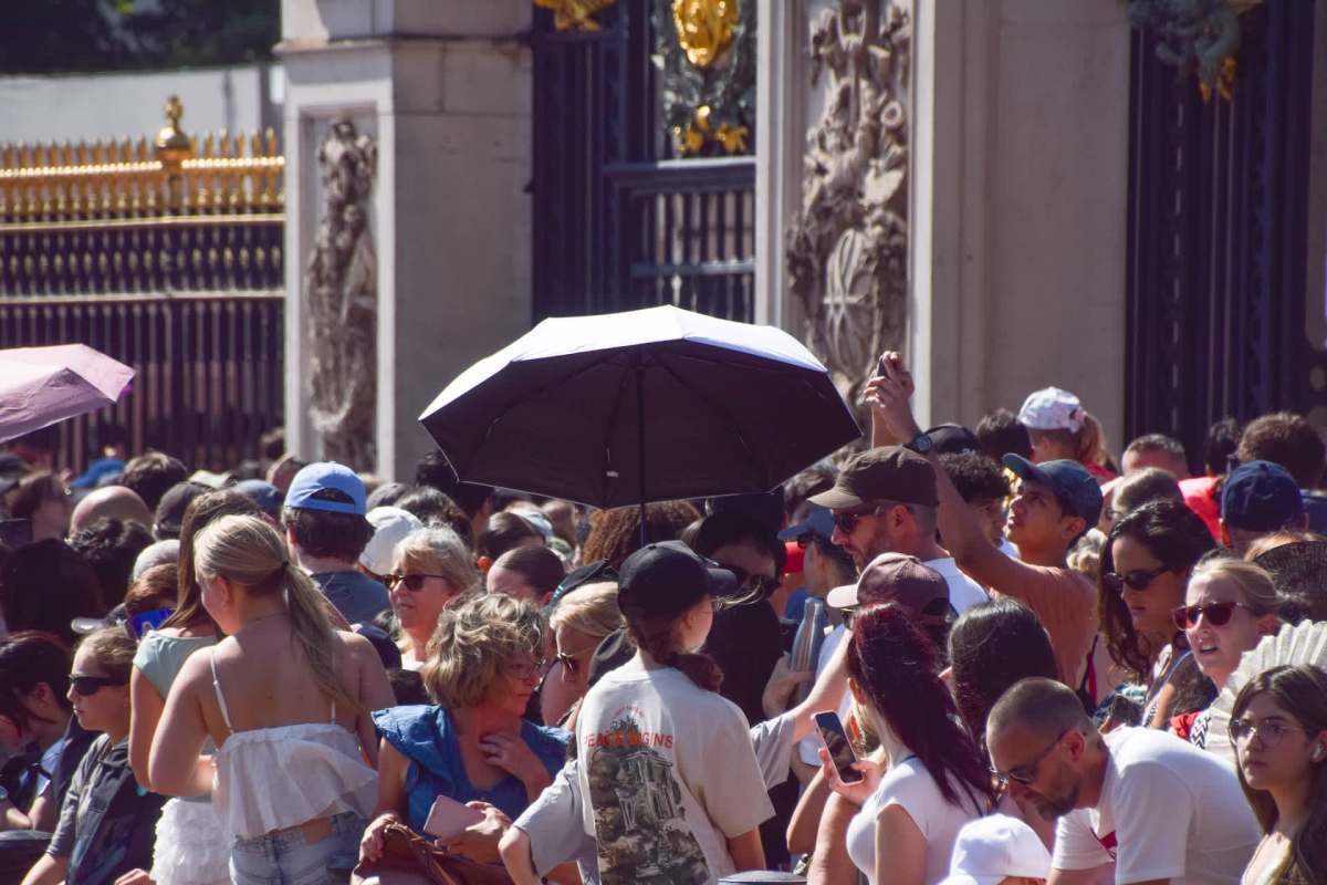 A large crowd of people gathers near a gate, with some holding umbrellas for shade.