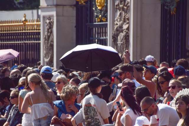 A large crowd of people gathers near a gate, with some holding umbrellas for shade.