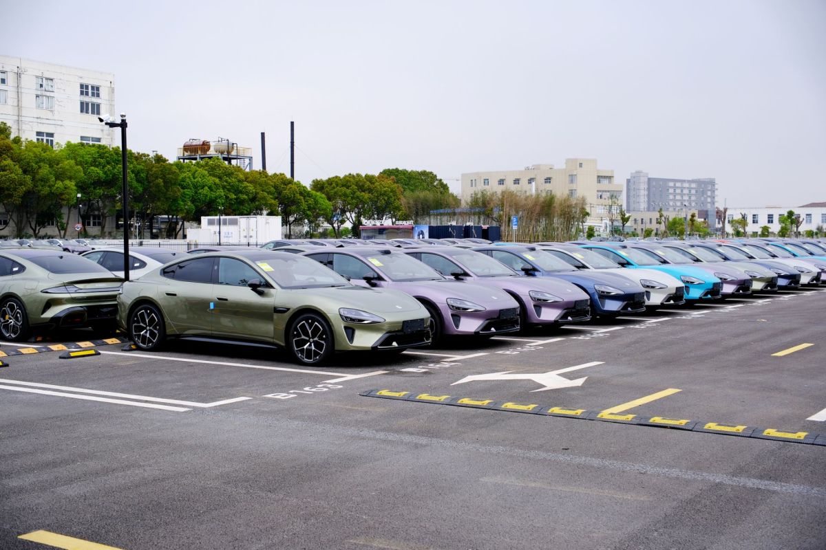 A row of EVs.