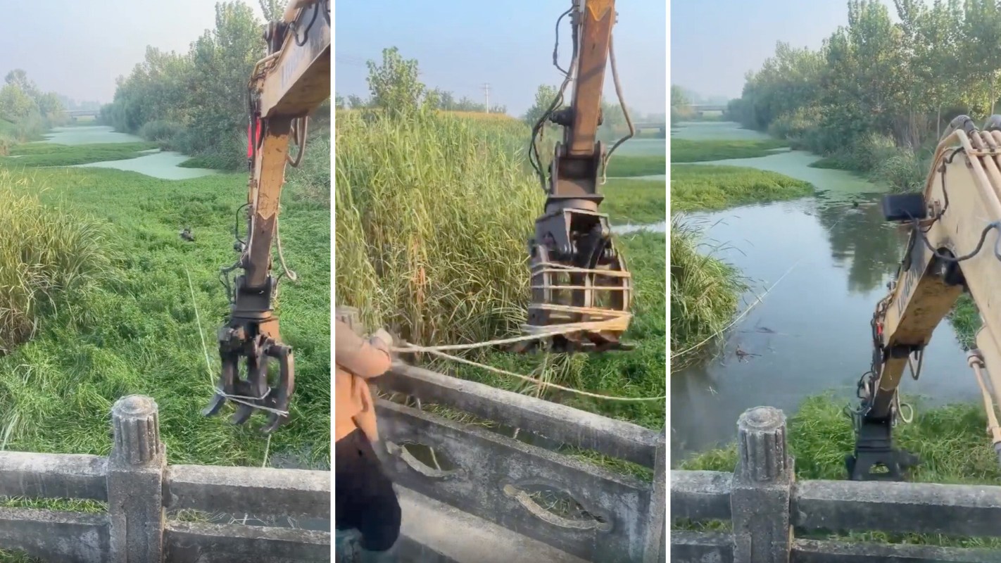 An excavator pulling up aquatic plants.