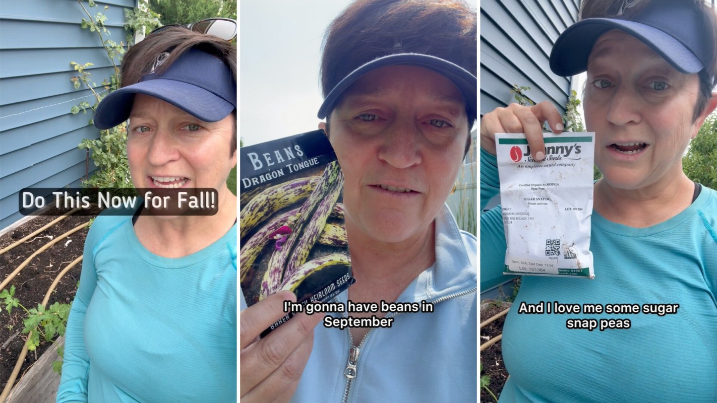A woman holds seed packets while discussing planting beans and sugar snap peas in a garden.