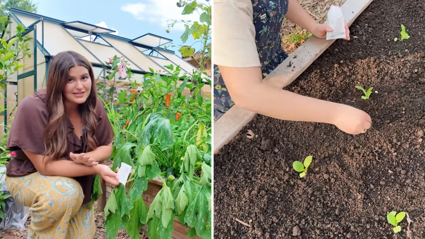 A woman in a garden showing vegetables, then is seen planting seedlings in soil.