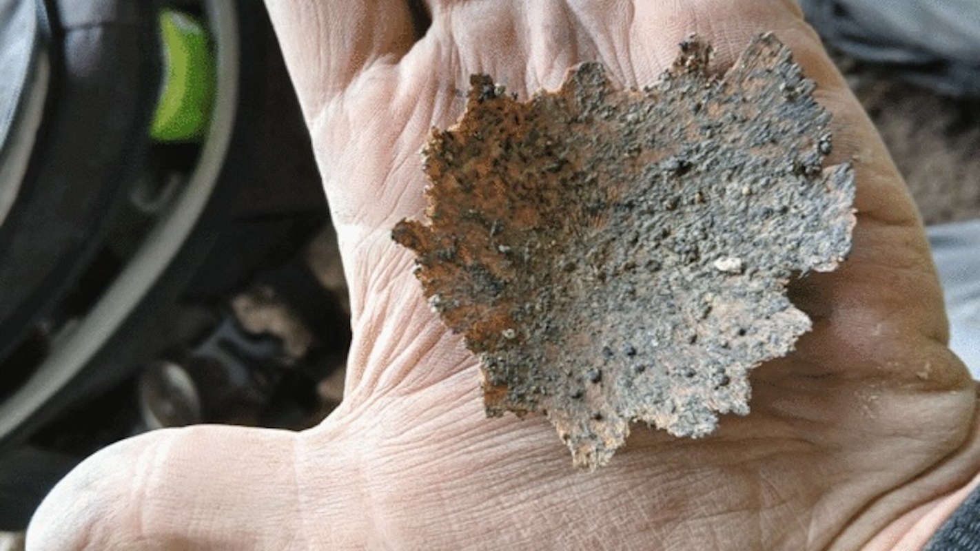 A person holds a fragile fragment of a prehistoric fetus in their hand.