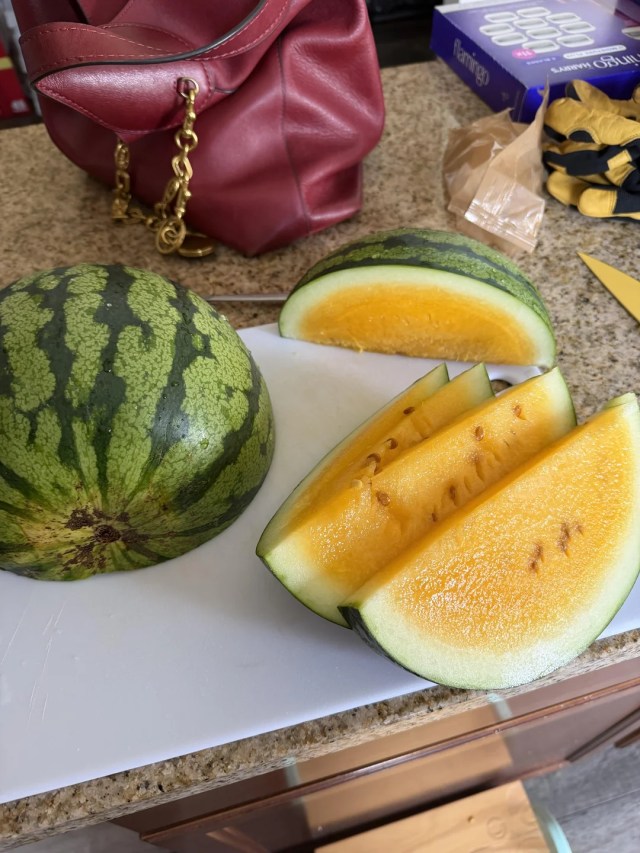 A watermelon with yellow flesh.